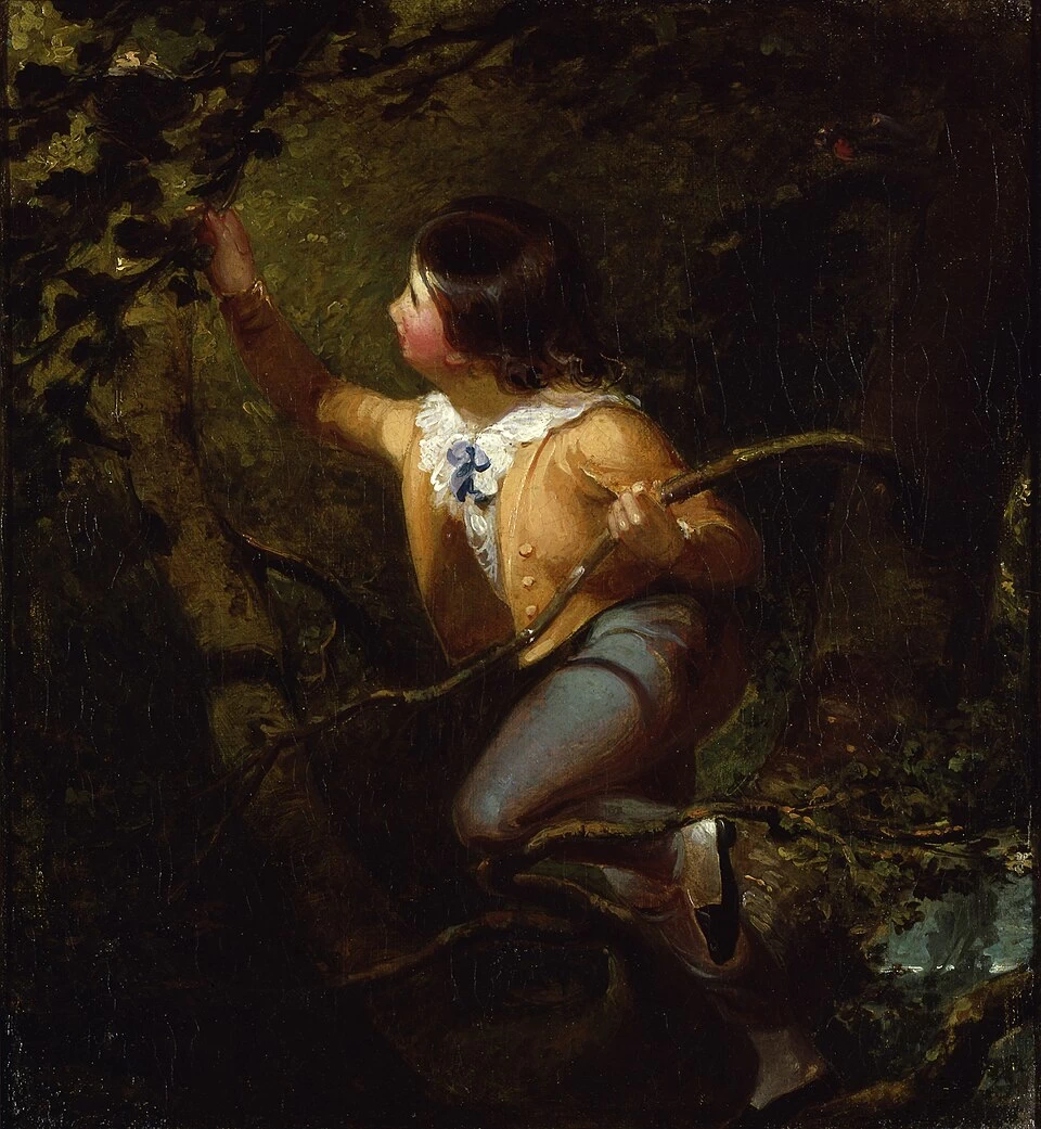 Nidificazione degli uccelli - Smithsonian American Art Museum